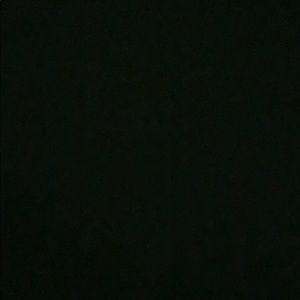 Meet your Posher, Ella-grace